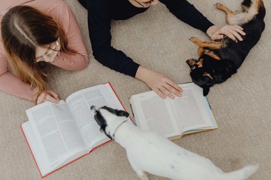 puppy learning indoors
