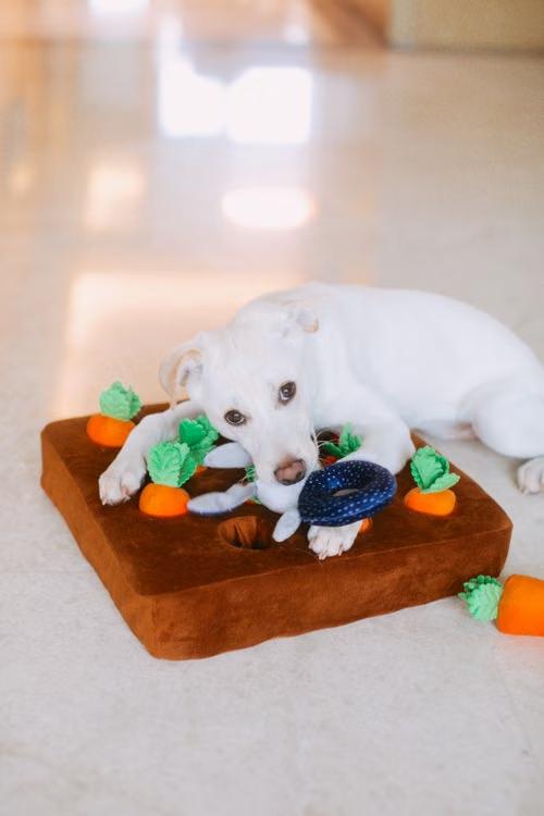 A dog lying comfortably on a bed with plush toys